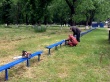 Благоустройство
