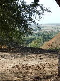 DSCN3196.JPG
