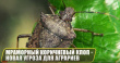 Угроза для аграриев.