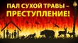 Пал травы запрещён законом!