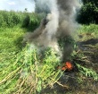 Рейд по выявлению очагов произрастания наркосодержащей растительности.