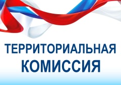 Заседание территориальной комиссии.