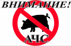 Уважаемые жители Тбилисского сельского поселения Тбилисского района!