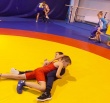 Новости спорта.