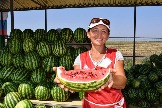 DSC_0689.JPG