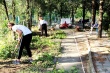 Осень добрых дел