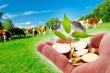 Информация о грантовой поддержке действующей на территории Краснодарского края.