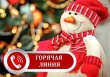 Горячая линия по вопросам качества и безопасности детских товаров, выборе новогодних подарков.