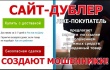Мошенничество с использованием сайтов-дублеров благотворительных организаций.