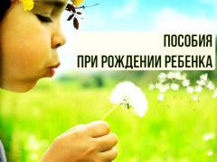 О ежемесячной выплате в связи с рождением (усыновлением) первого ребёнка.